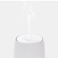Aromatherapy Diffuser & Air Humidifier