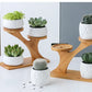 Succulent Pots & Bamboo Shelf