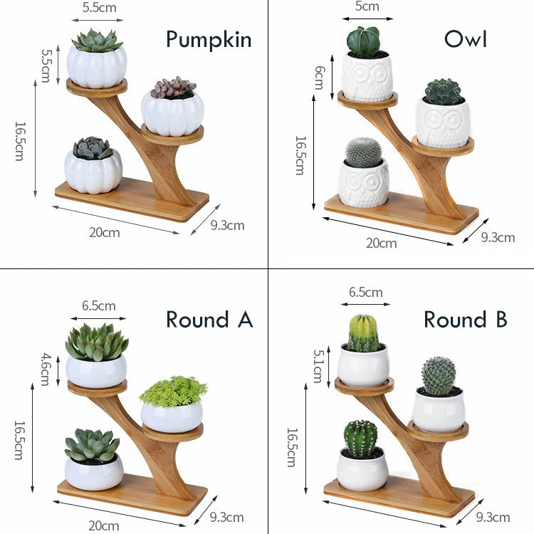 Succulent Pots & Bamboo Shelf