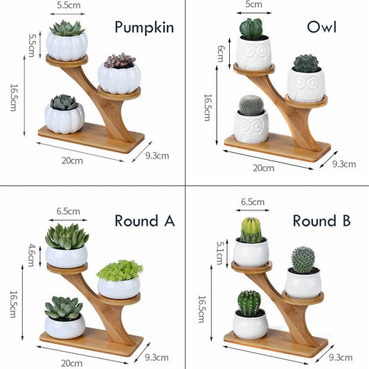 Succulent Pots & Bamboo Shelf