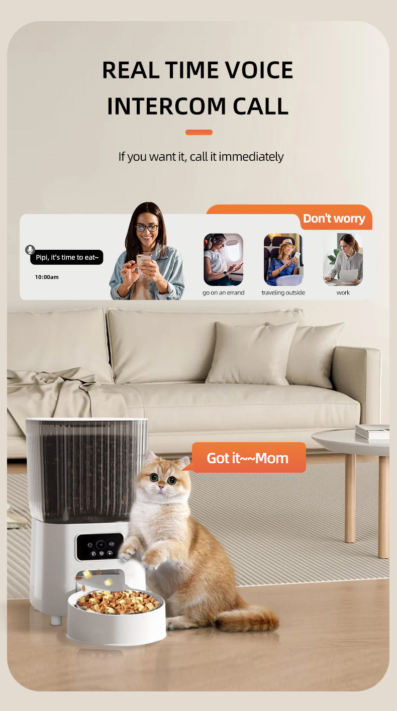 WiFi Timed Cat Feeder with HD Camera