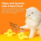 Interactive Electric Duck Toy for Cats